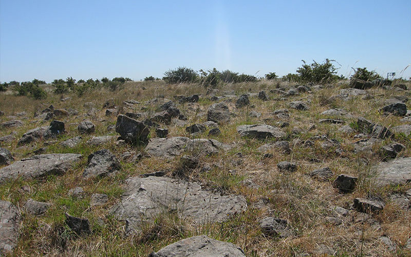 rocky-land